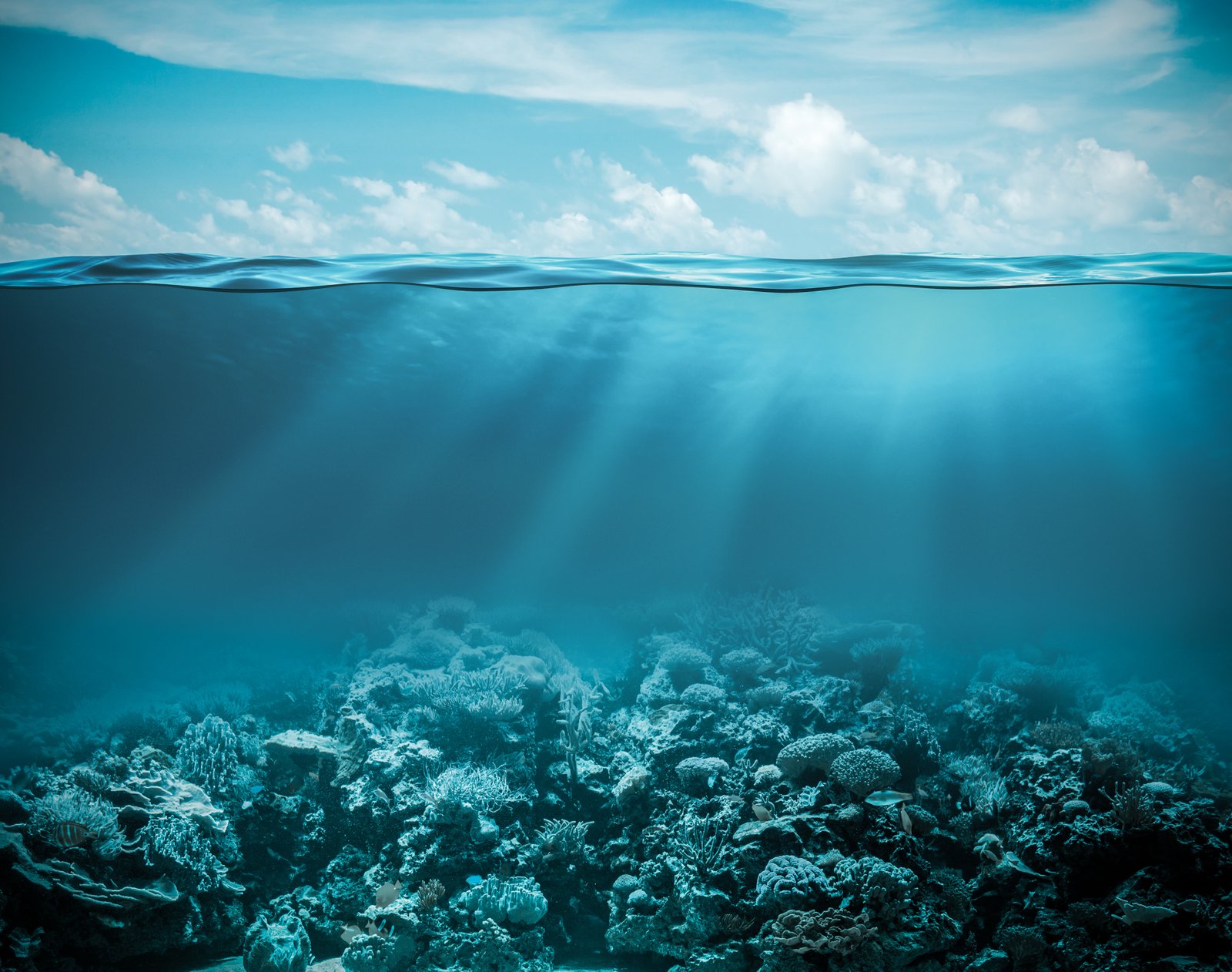 Внутренние воды в океане. Океан. Дно океана. Морское дно. Океан под водой.